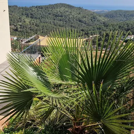 Contenta * Canyelles (Catalonia)